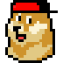 02fc8d8bced4… — Dogecoin Doginal inscription