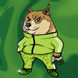 04dd6463b209… — Dogecoin Doginal inscription