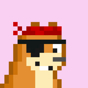 138bb4580c5f… — Dogecoin Doginal inscription