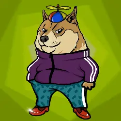 1aa6af369332… — Dogecoin Doginal inscription
