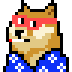 1e70f6f33c57… — Dogecoin Doginal inscription