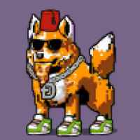 23db06c8379f… — Dogecoin Doginal inscription