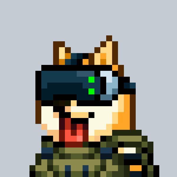 32401461e692… — Dogecoin Doginal inscription