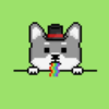 43412ca0613c… — Dogecoin Doginal inscription