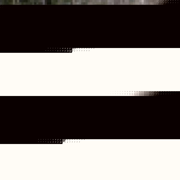 52d4406b0230… — Dogecoin Doginal inscription