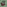 6a768dd0e2aa… — Dogecoin Doginal inscription