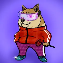 6d0aa5c27f86… — Dogecoin Doginal inscription