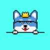 806435f22d6f… — Dogecoin Doginal inscription