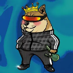 830be979bef1… — Dogecoin Doginal inscription