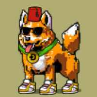 88fd3d9ae473… — Dogecoin Doginal inscription