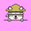 8c681e6e87ff… — Dogecoin Doginal inscription