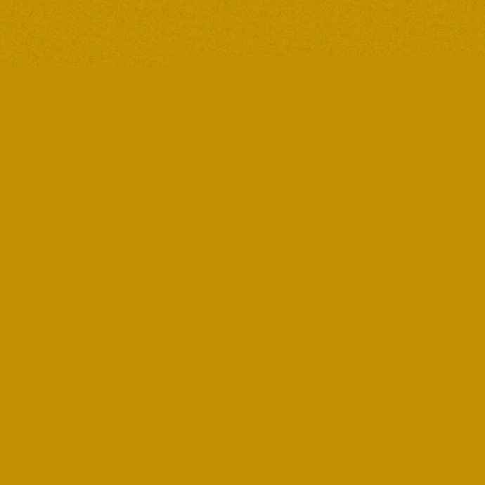 983399a5debd… — Dogecoin Doginal inscription