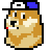 9ac229b87f04… — Dogecoin Doginal inscription