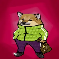 abc4c52caa92… — Dogecoin Doginal inscription