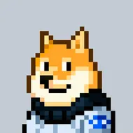 b3d88906a335… — Dogecoin Doginal inscription