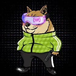 b589676f8991… — Dogecoin Doginal inscription