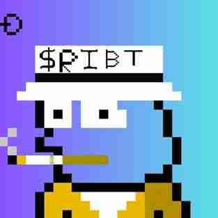 bb0b0e66d37b… — Dogecoin Doginal inscription