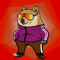bc6212845856… — Dogecoin Doginal inscription