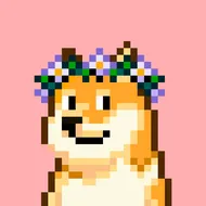 bcc1e08c2211… — Dogecoin Doginal inscription