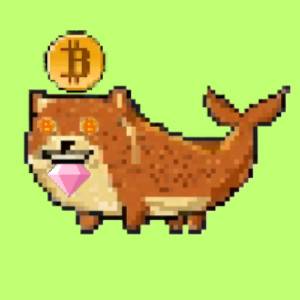 bdfcaff691d3… — Dogecoin Doginal inscription