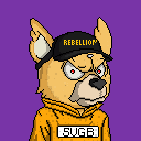 c50c81a03200… — Dogecoin Doginal inscription