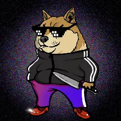 c655cb1442b3… — Dogecoin Doginal inscription