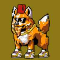 c9294d6ee791… — Dogecoin Doginal inscription