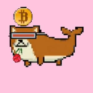 cb200aa37ca2… — Dogecoin Doginal inscription
