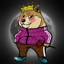 cec99f04ef0d… — Dogecoin Doginal inscription