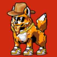 d96c8f9ec63d… — Dogecoin Doginal inscription