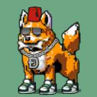 dc163dc6162d… — Dogecoin Doginal inscription