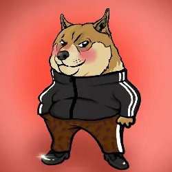 e17b0f9b48e1… — Dogecoin Doginal inscription