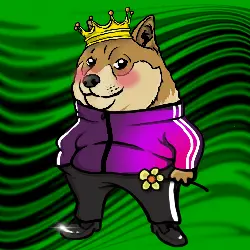 f02b883da8f8… — Dogecoin Doginal inscription