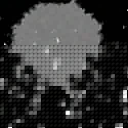 fd843ac3830c… — Dogecoin Doginal inscription